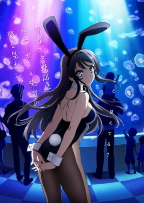 Rascal Does Not Dream of Bunny Girl Senpai